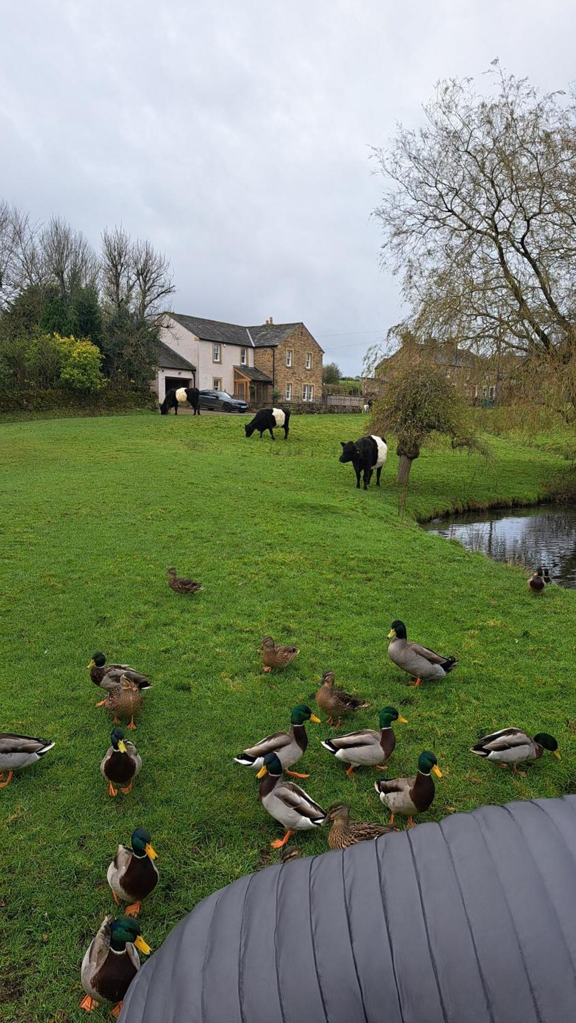 Church House Barn Lake District & Solway Coast With Solway Firth Views Silloth Exteriér fotografie